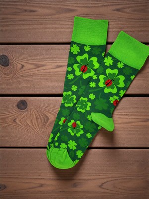 G Socks Yeşil Çiçek ve Uğur Böceği Desenli Renkli Çorap