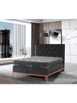 Queen Bee Live Life Pochet System Yatak