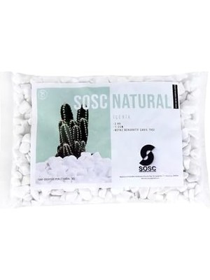 Aydenstore Beyaz Çakıl Taşı Dolomit Taşı Bahçe Süsü Akvaryum Taşı Dere Çakıl Taşı 1-2 cm 3 kg