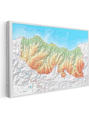 Tablofest Yatay Kanvas Tablo Trabzon Coğrafi Yapı Harita Tablosu Ev Ofis Duvar Dekoru