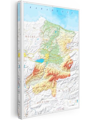Tablofest Dikey Kanvas Tablo Sakarya Topografik Yüzey Şekilleri Harita Tablosu Ev Ofis Duvar Dekoru