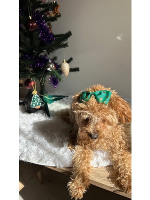 MELOKİDS Yeşil Yıldız Yılbaşı Desenli Kurdele Köpek Tokası