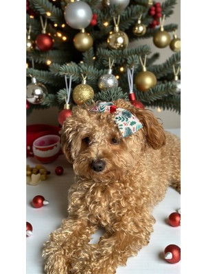 MELOKİDS Yılbaşı Kokina Desenli Kurdele Köpek Tokası