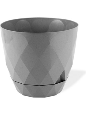 Royaleks Group 3 No Yakamoz Saksı 1 Adet ROYALEKS-KRS-453