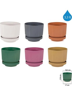 Royaleks Group 3no Saksı 3.3lt 1 Adet ROYALEKS-S282