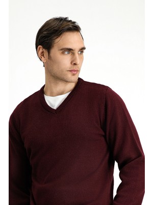 Polo Club V Yaka Regular Fit Triko Kazak