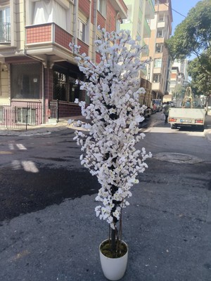 Rüzgar Yapay Çiçekçilik 180 cm Beyaz Saksıda Beyaz Bahardali Ağacı