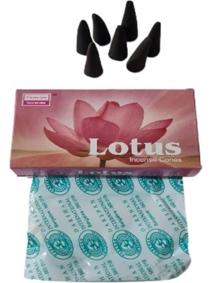 Hype Store Doğal Aromaterapi Konik Tütsü, Uzun Yakma Süreli, Meditasyon ve Yoga Için – Negatif Enerji Arındırıc