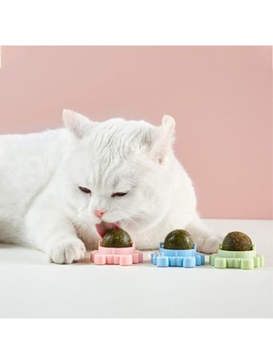 Hype Store Catnipli Yenilebilir Kedi Nanesi Otu Yalama Oyun Topu Oyuncağı Yengeç