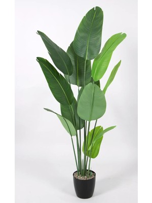 Rüzgar Yapay Çiçekçilik 180 cm Starlice Ağacı