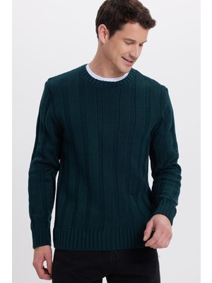 Tudors Erkek Standart Fit Normal Kesim Bisiklet Yaka Desenli Yeşil Kazak