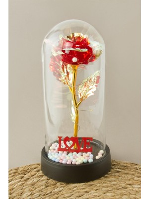 Bijuteri Net Gül Işıklı LED Fanus