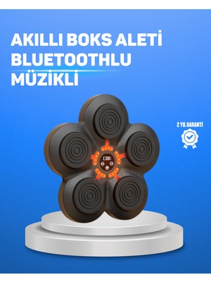 Tuba Toptaş Müzikli Boks Duvar Paneli Akıllı Işık Sistemli Refleks ve Kondisyon Aleti