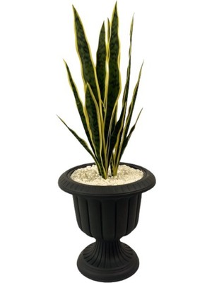 Yapay Kılıç Yucca Bitkisi 1.20 mt Boy Ağaç Nergiz Antrasit Saksıda Yuka Ağacı