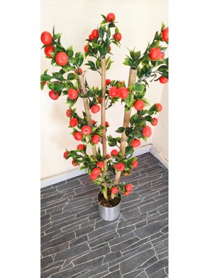 Rüzgar Çiçekcilik 1 Metre Mandalina Ağacı