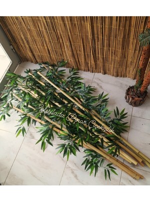 Yapay Bamboo Ağacı Orta Asya Bambu Çubuklar 1.50 mt Boy 10 Adet 1 Bağ Seperatör
