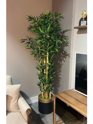 Rüzgar Yapay Çiçekçilik 170 cm Bambu Ağacı