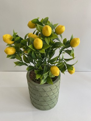 Rüzgar Yapay Çiçekçilik Beton Saksıda Limon Ağacı