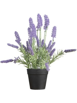 Rüzgar Yapay Çiçekçilik Siyah Saksıda Lavanta Çiçeği