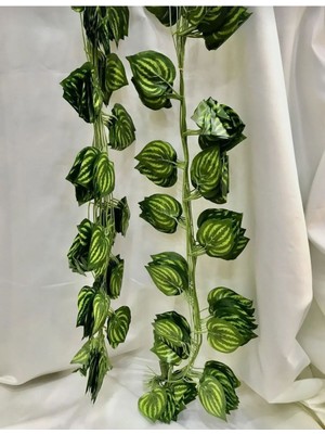 Rüzgar Yapay Çiçekçilik 2.30 cm 12 Adet Sarmaşık