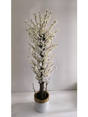 Rüzgar Yapay Çiçekçilik 30X30 Krem Gold Saksıda 180 cm Bahardalı Ağacı