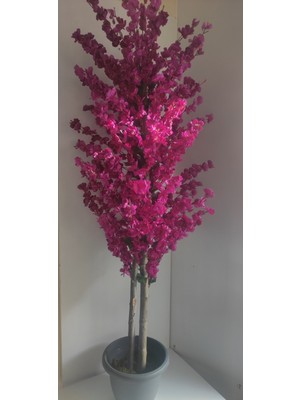 Rüzgar Çiçekcilik 180 cm Mor Bahardali