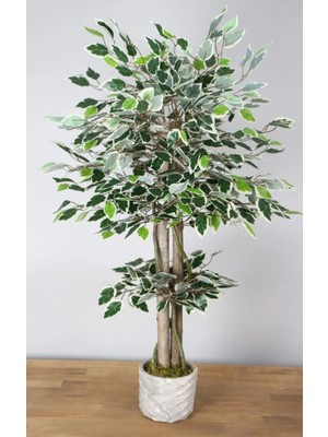 Rüzgar Yapay Çiçekçilik 105 cm Ficus Ağacı