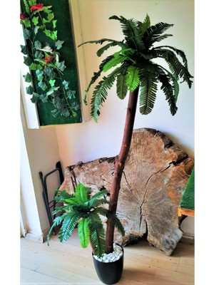 Yapay Palmiye Ağacı 1.70 mt Boy Afrika Palmiyesi Çift Gövde Yoğun Yaprak