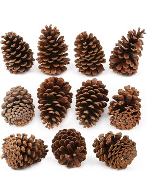 Rüzgar Yapay Çiçekçilik 12 Adet Çam Kozalağı