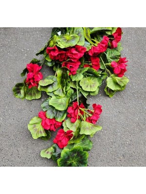 Rüzgar Yapay Ççekçilik Sardunya Sarmaşık