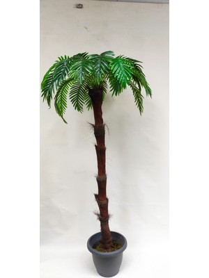 Rüzgar Yapay Çiçekçilik 170 cm Palmiye Ağacı