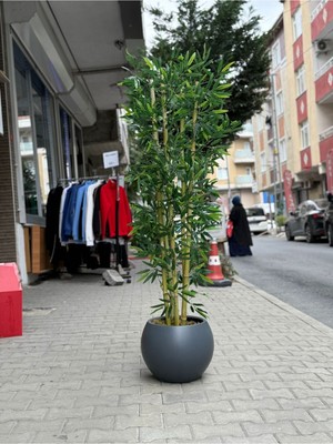 Rüzgar Yapay Çiçekçilik 180 Santim Boyunda 5 Gövdeli Bambu Ağacı
