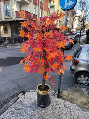 Rüzgar Yapay Çiçekçilik 180 cm Kızıl Hazan Çınar Ağacı
