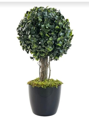 Rüzgar Yapay Çiçekçilik 30 cm Boyunda Şimsir Top