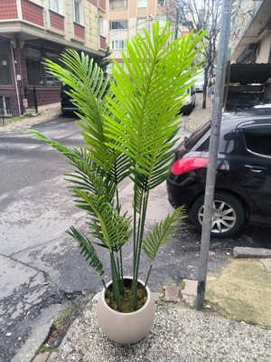 Rüzgar Yapay Çiçekçilik 160 cm Areka Ağacı