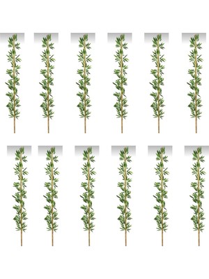 Rüzgar Yapay Çiçekçilik 190 cm 12 Adet Bambu