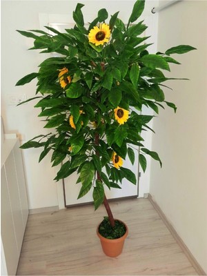 Yapay Ayçiçeği Ağacı Sarı Günebakan Ağacı 1.90 mt Boy Çok Yoğun Yaprak Ayçekirdeği
