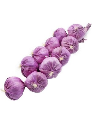 Rüzgar Yapay Çiçekçilik 45 cm Mor Soğan