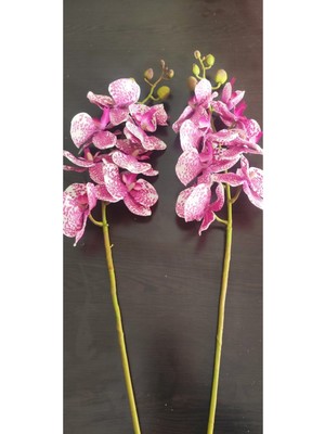 Rüzgar Çiçekcilik Islak Doku Orkide
