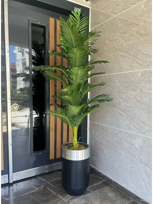 Rüzgar Yapay Çiçekçilik 190 cm Areka Ağacı Ü