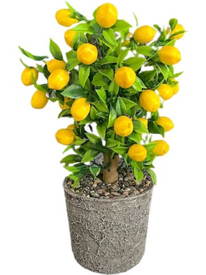 Rüzgar Yapay Çicekcilik Limon Ağacı