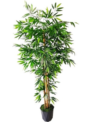 Yapay Bambu Ağacı 1.50 Metre Boyunda 6 Adet Orjinal Gövdeli Bambu Ağaç Çiçek