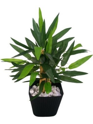 Orjinal Yapay Bambu Ağaç Siyah Askılı Saksıda 33 cm Boyunda Askılı Çiçek