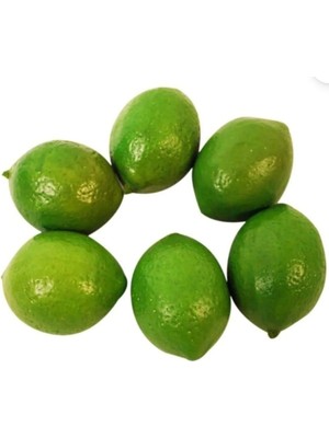 Rüzgar Çiçekcilik Yeşil Limon