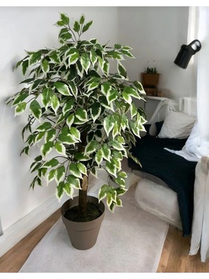 Rüzgar Yapay Çiçekçilik 100 cm Ficus Ağacı Yalı Saksılı