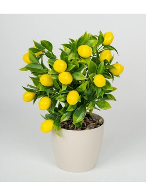 Rüzgar Yapay Çiçekçilik Beyaz Saksıda Limon Ağacı