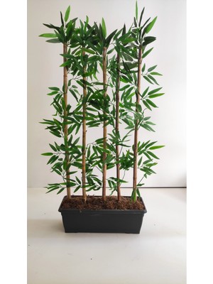 Rüzgar Yapay Çiçekçilik 100 cm 5 Li Bambu Ağacı