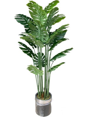 Rüzgar Yapay Çiçekçilik 2.20 Monstera Ağacı