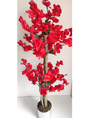 Rüzgar Çiçekcilik 1 Metre Kırmızı Bahardali