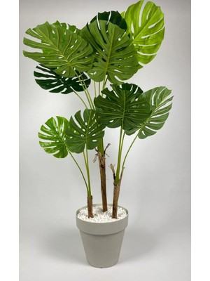 Rüzgar Yapay Çiçekçilik 150 cm Monstera Ağacı